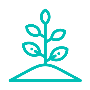 Icon Sprout