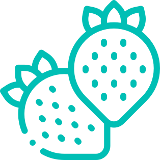 Icon Strawberry